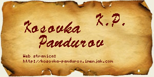 Kosovka Pandurov vizit kartica